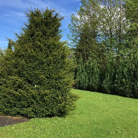 Apartament Sky Winterberg