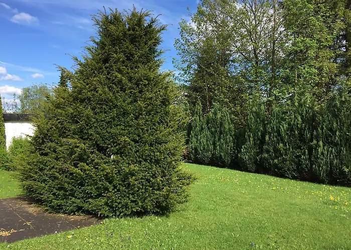 Apartamento Sky Winterberg